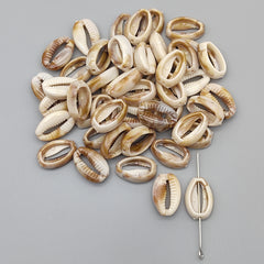Cowrie shell 500 grm